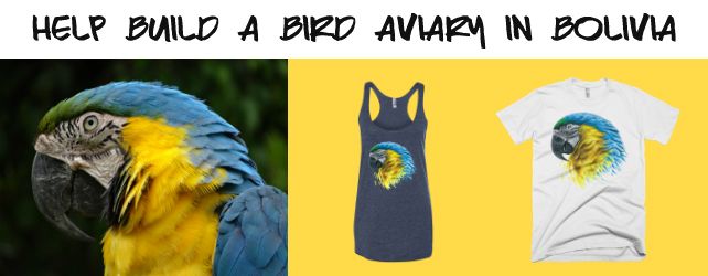 Buy a T-shirt and Make the World a Better Place