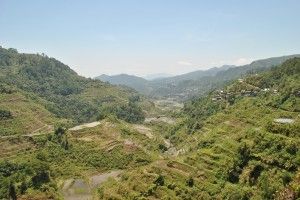 Banaue Rice Terraces