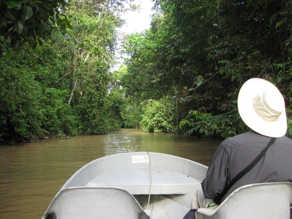 kinabatangan river cruise