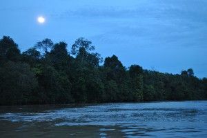 Abai Jungle Lodge sunset