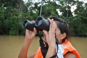 kinabatangan river