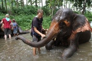 a mahout