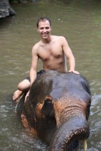 elephantinwater elephant photos