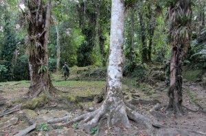 lost city colombia army