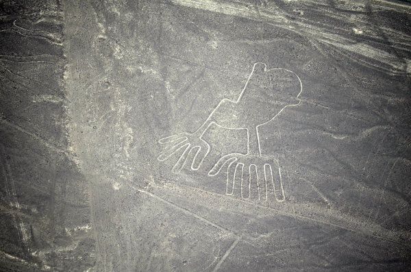 Nazca Lines Bird Peru