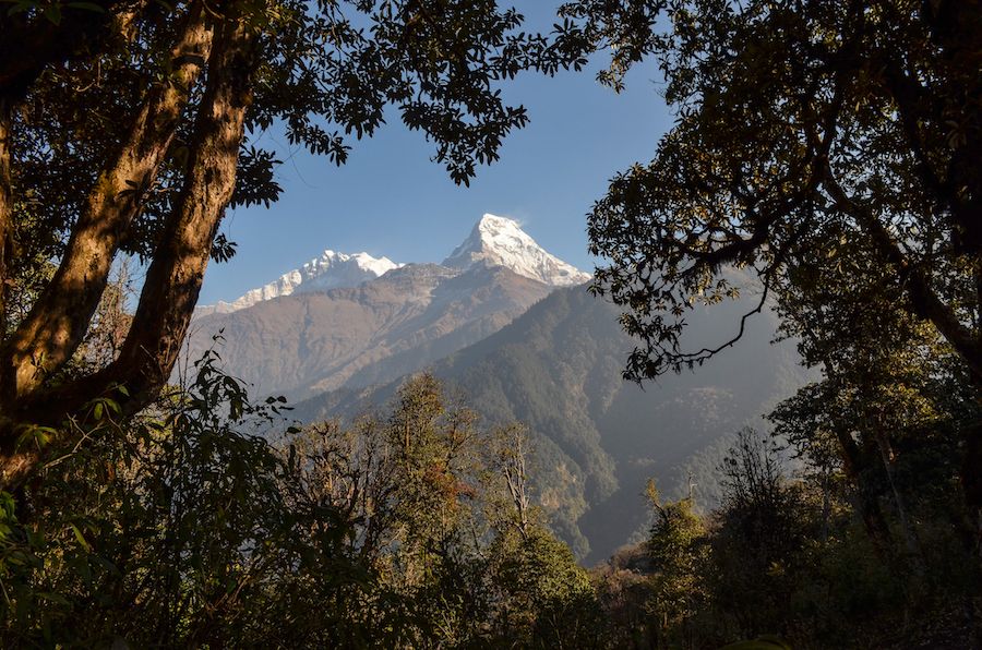 Poon Hill Hike Nepal