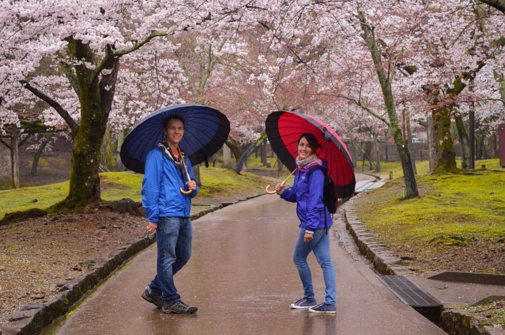 Romantic Getaway in Japan Cherry Blossoms