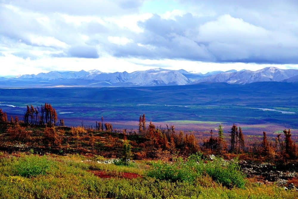 Driving the Dempster Highway