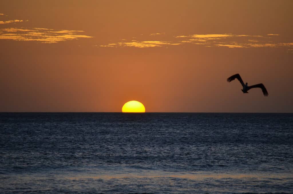 the best sunsets in costa rica