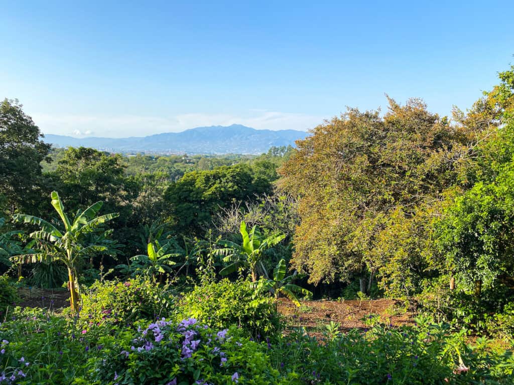 Finca Rosa Blanca Costa Rica