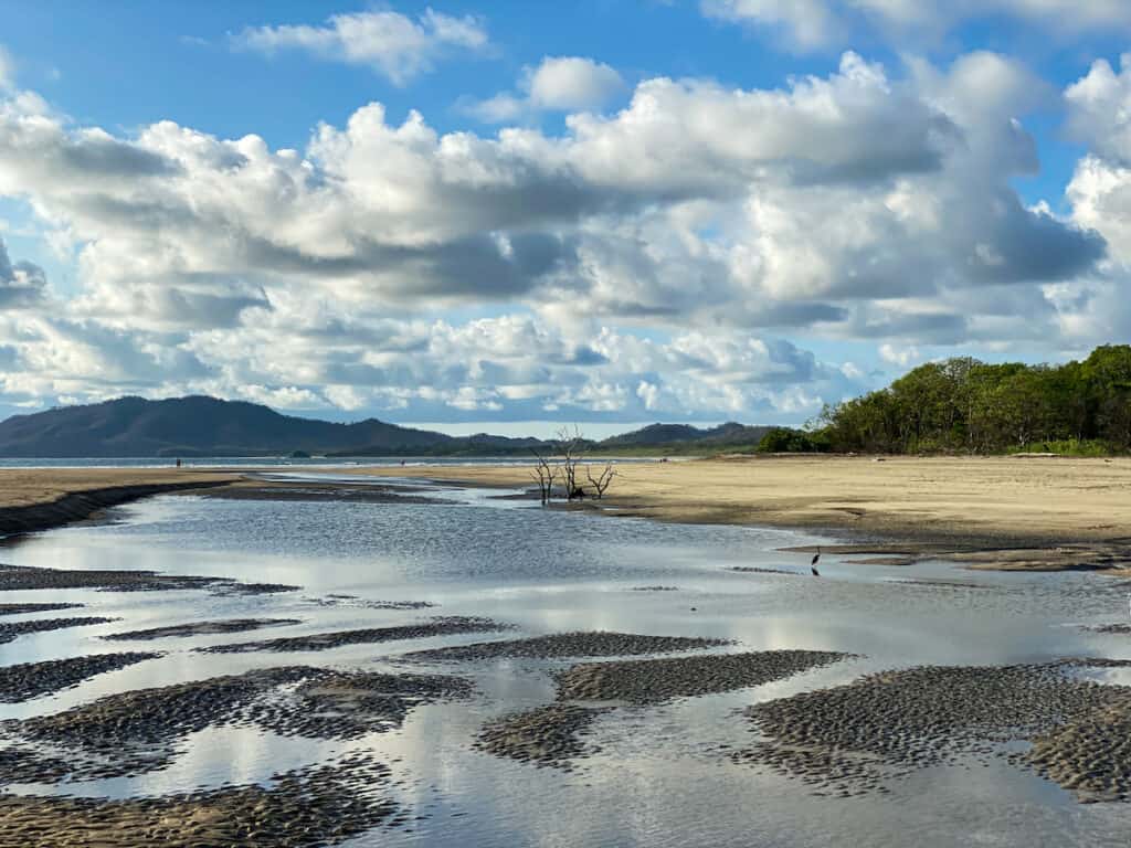 Playa Grande Costa Rica